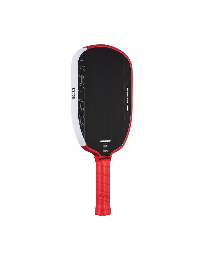 Joola Agassi Pro IV Pickleball Paddle