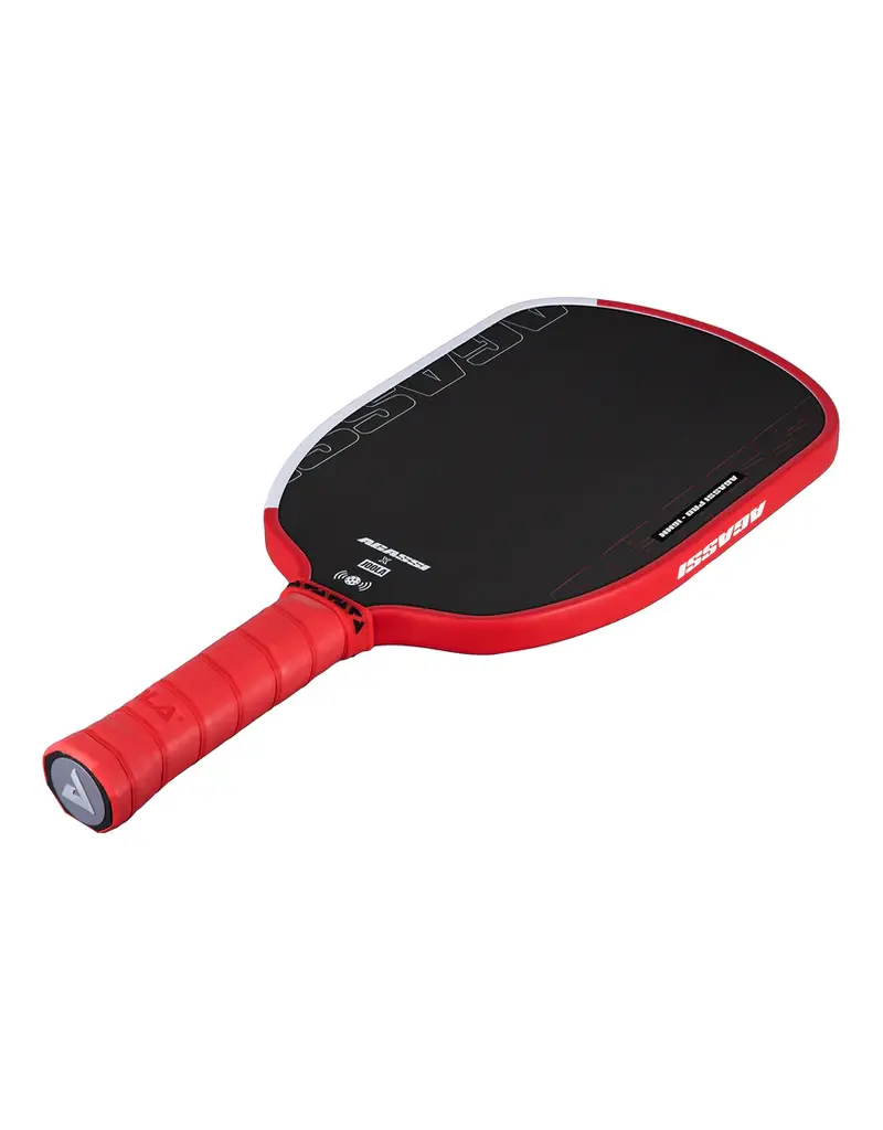 Joola Agassi Pro IV Pickleball Paddle