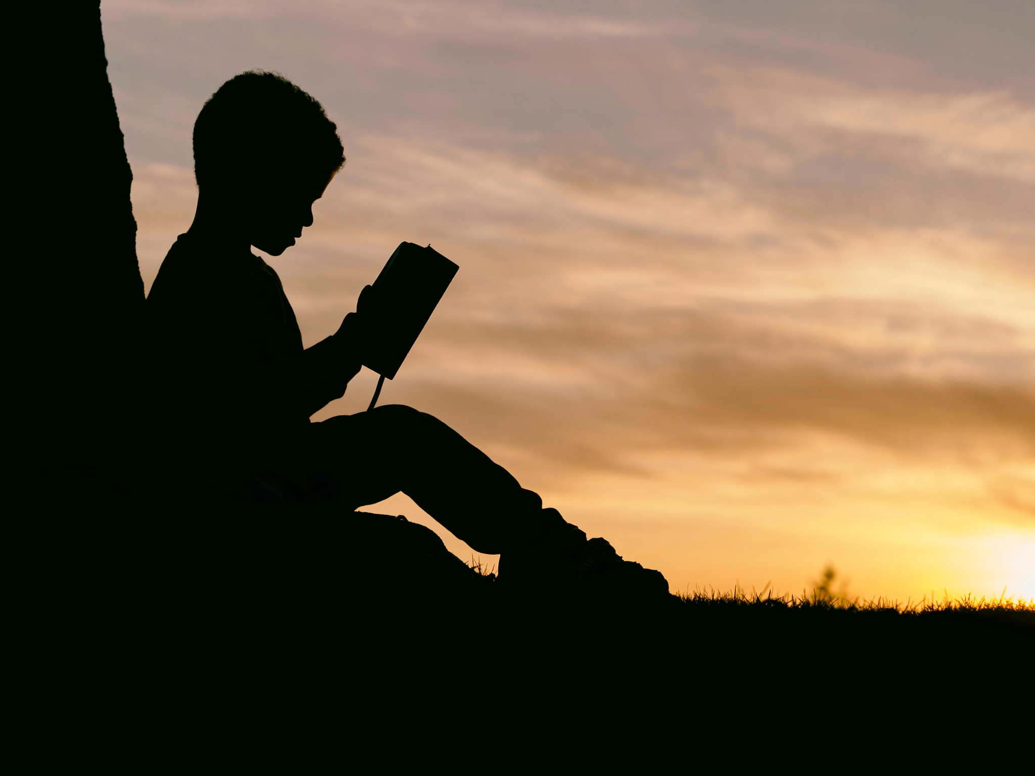 Brand Feature: Books to Bed
