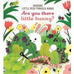 Usborne Are You There Little Bunny?