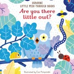 Usborne Are You There Little Owl?
