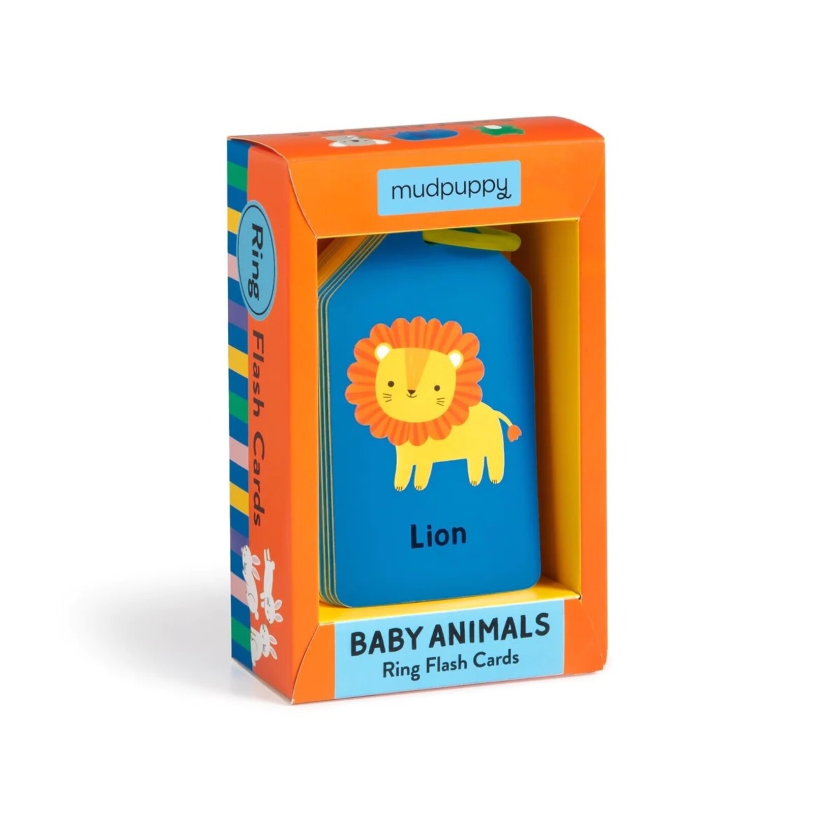 Hachette Book Group Baby Animals Ring Flashcards