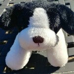 Mary Meyer Pesky Pup - Black White