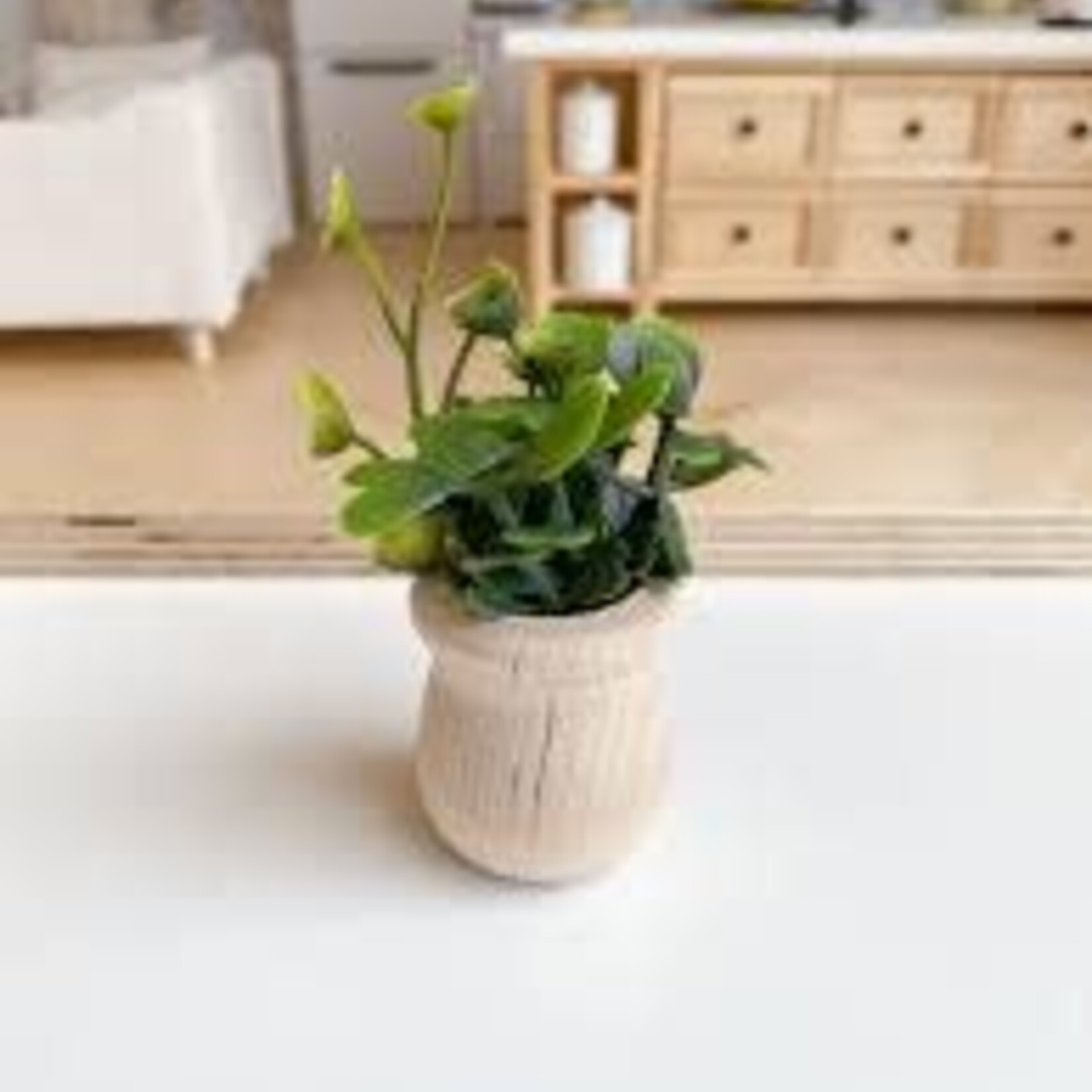 Macy Mae Dollhouse Designs Potted Plant Medium