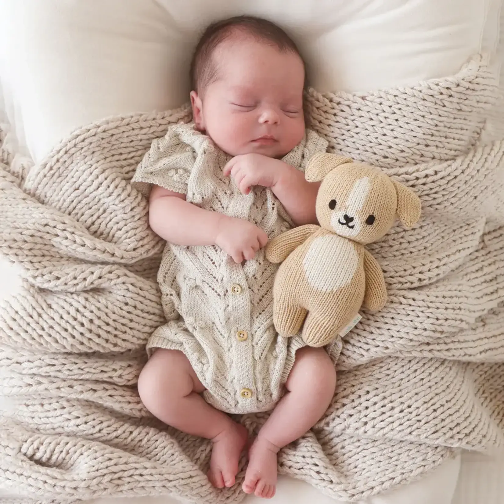 Cuddle and Kind Baby Puppy
