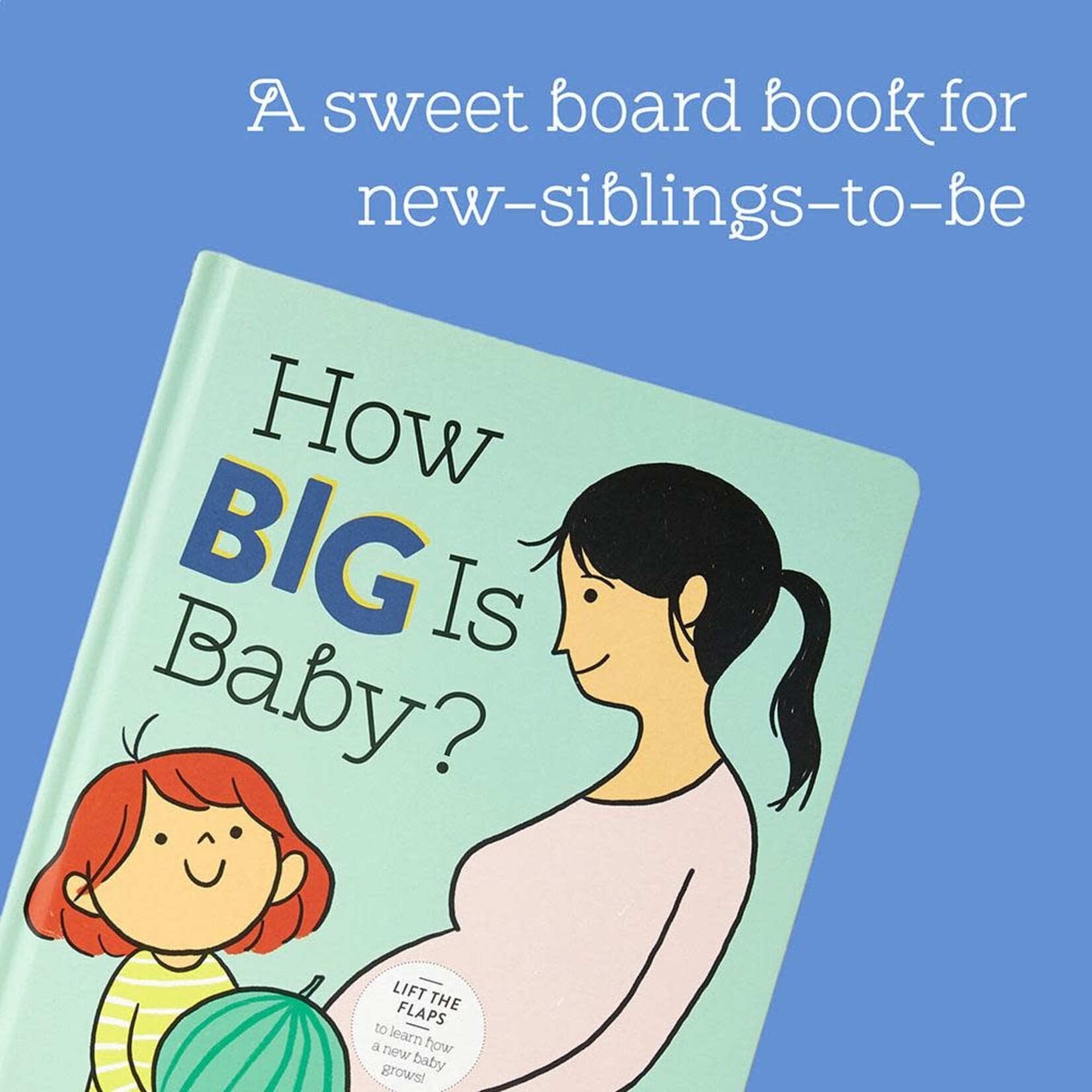 Chronicle Books How Big Is Baby?