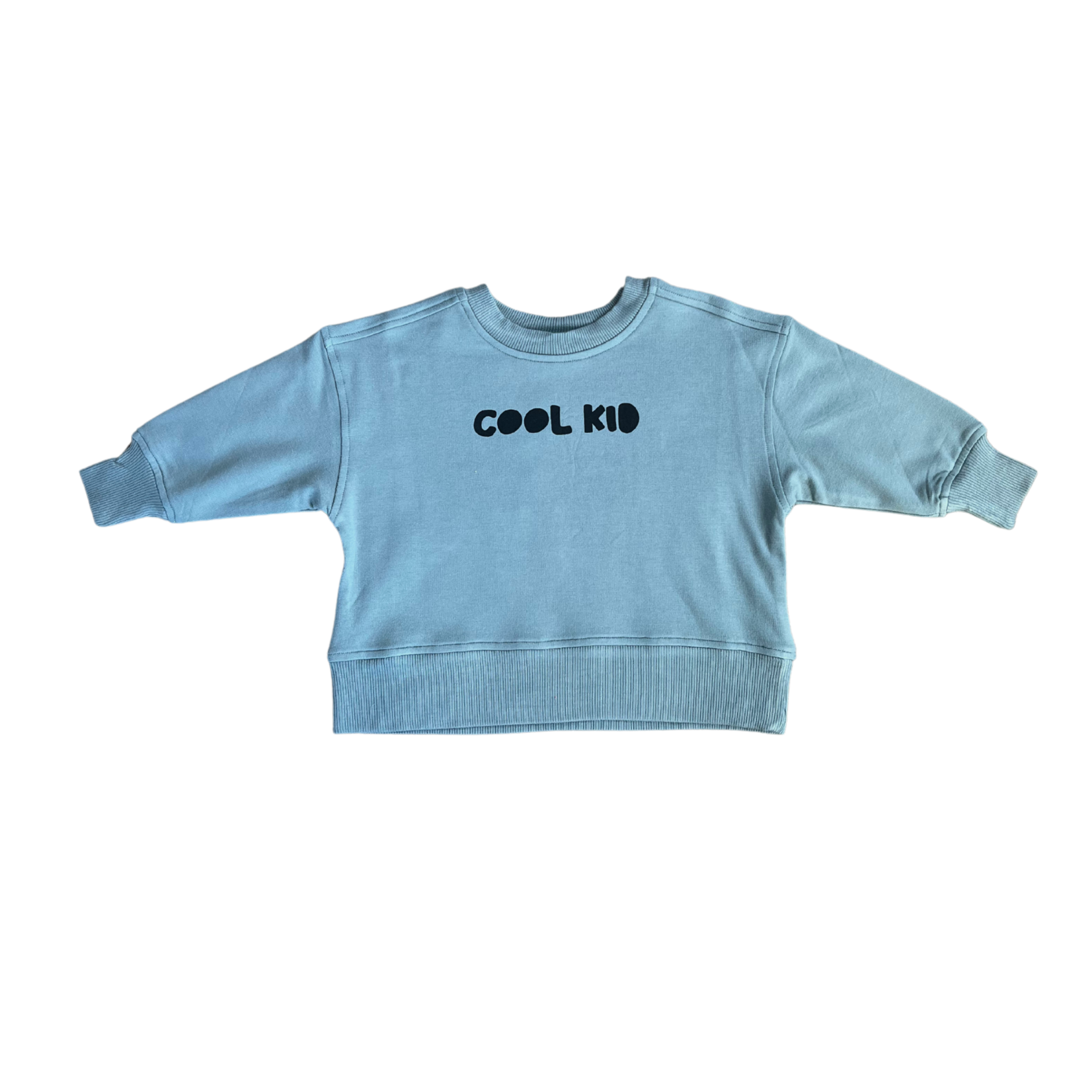 babysprouts clothing company Boxy Sweatshirt | Cool Kid