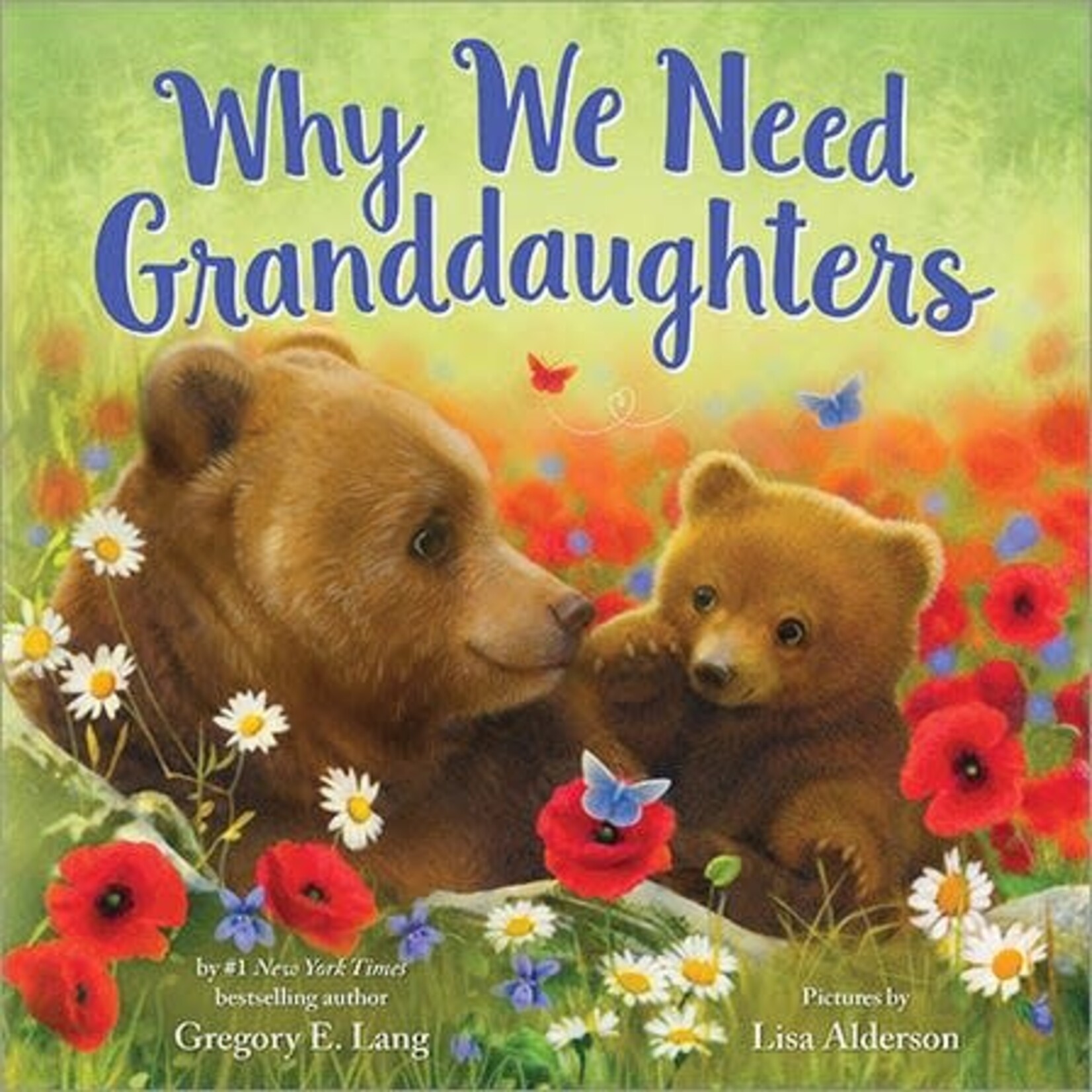 Sourcebooks Why We Need Granddaughters