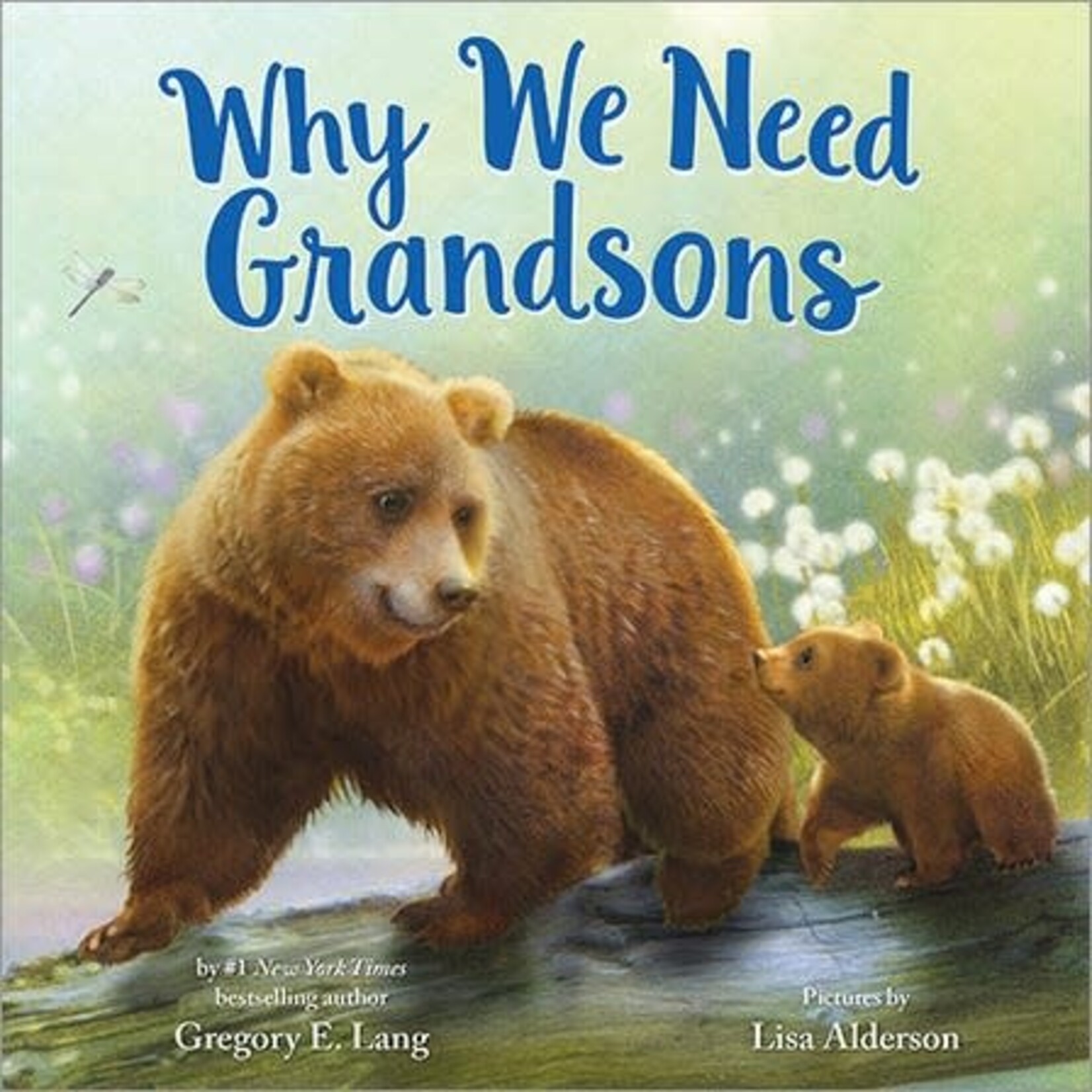 Sourcebooks Why We Need Grandsons