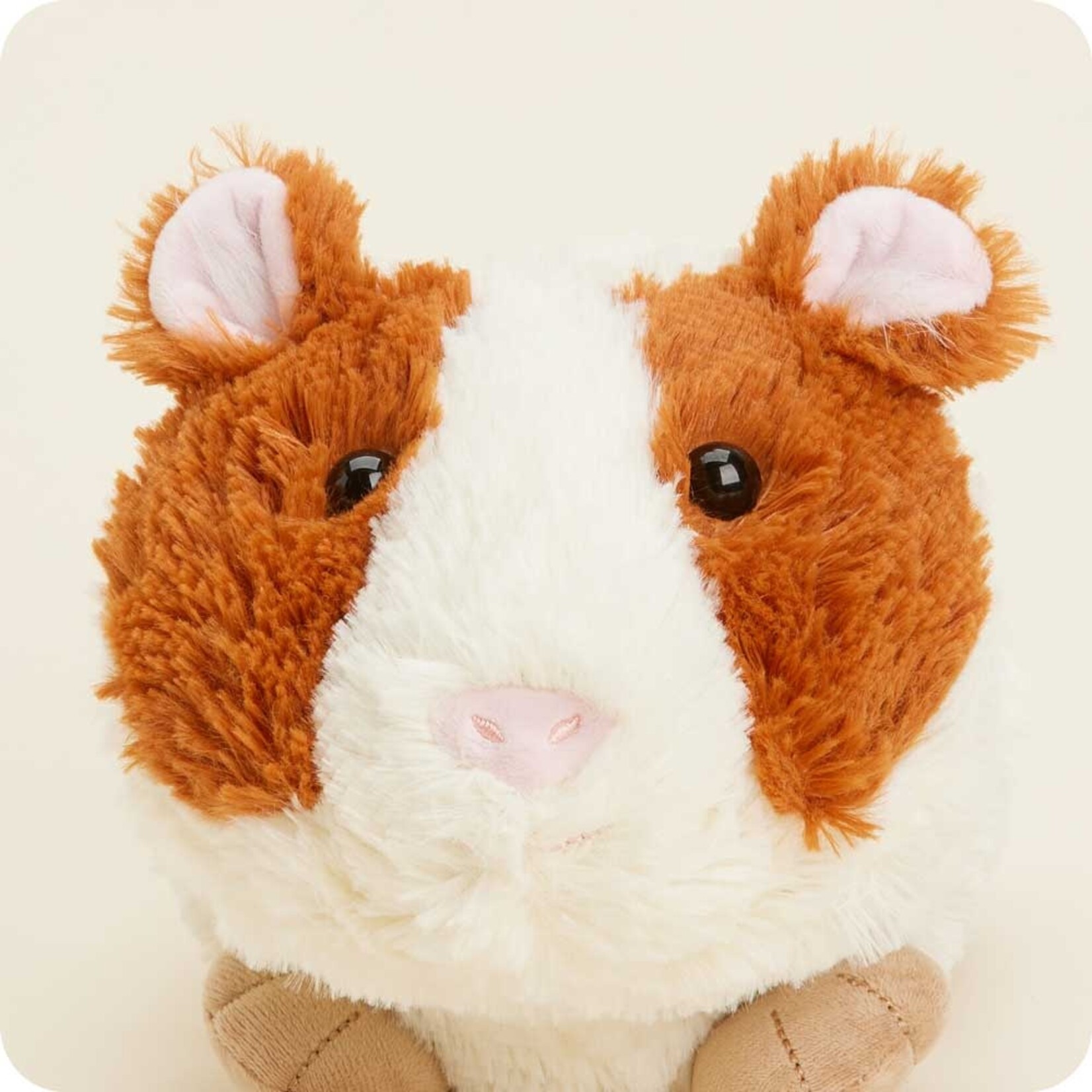 Intelex Warmies Big Guinea Pig Warmies