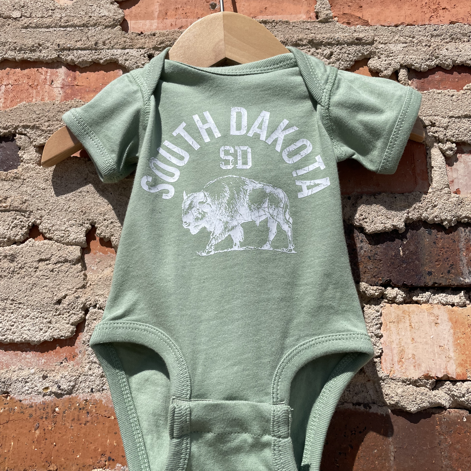 Shamaim South Dakota Baby Onesie - Sage