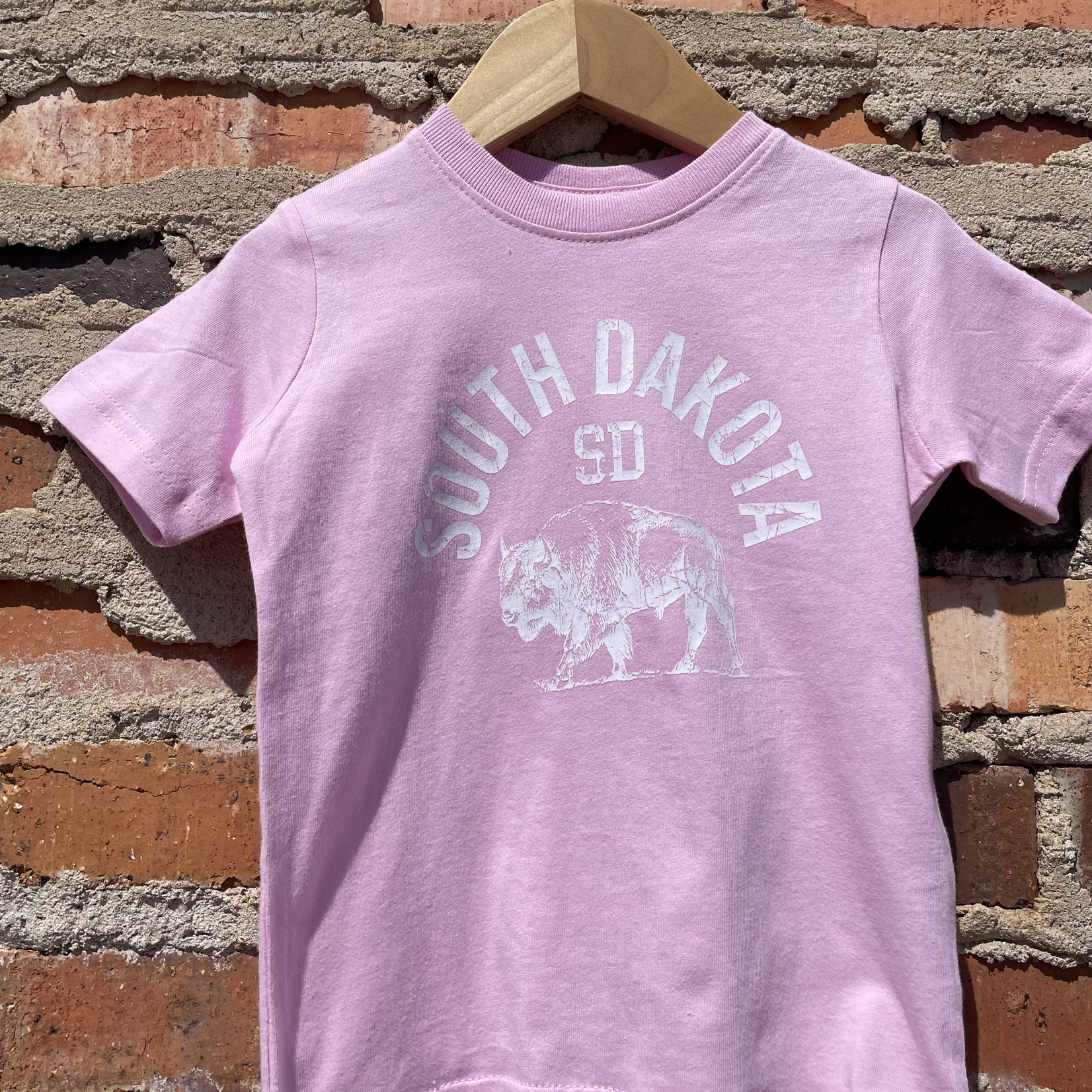Shamaim South Dakota Toddler Tee - Pink