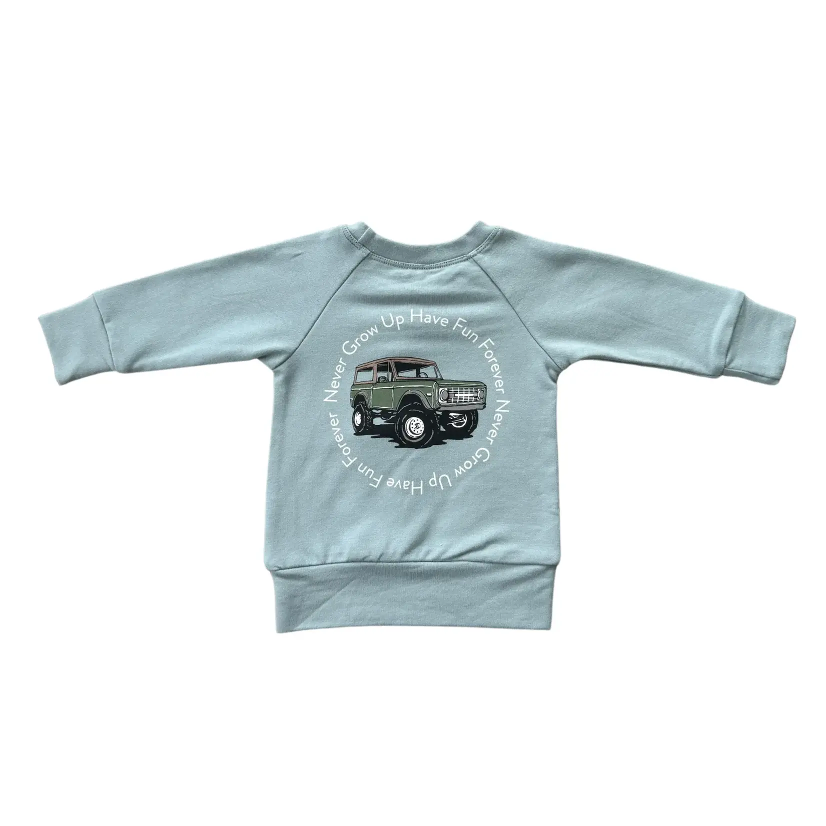 babysprouts clothing company Boys Raglan Sweatshirt | Have Fun Forever
