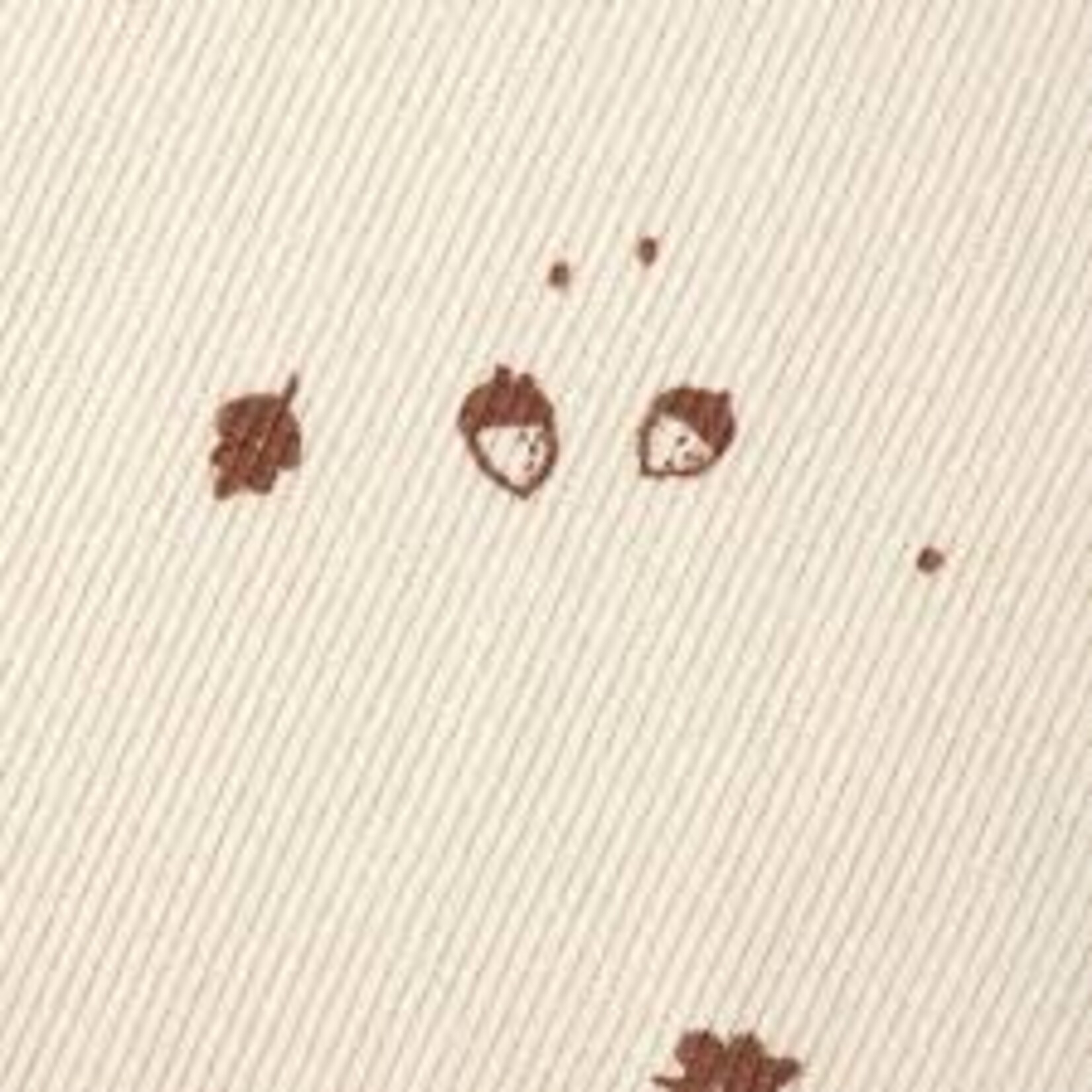 Quincy Mae Ribbed Bodysuit | Acorn