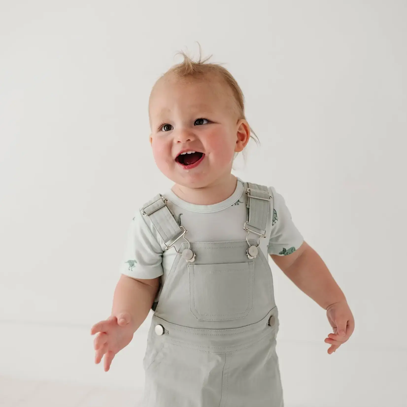 babysprouts clothing company Baby Overalls Set - Aqua Grey/Dinosaur
