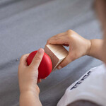 Plan Toys, Inc Nuts and Bolts