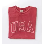 Oat Collective Graphic Top | USA Cardinal