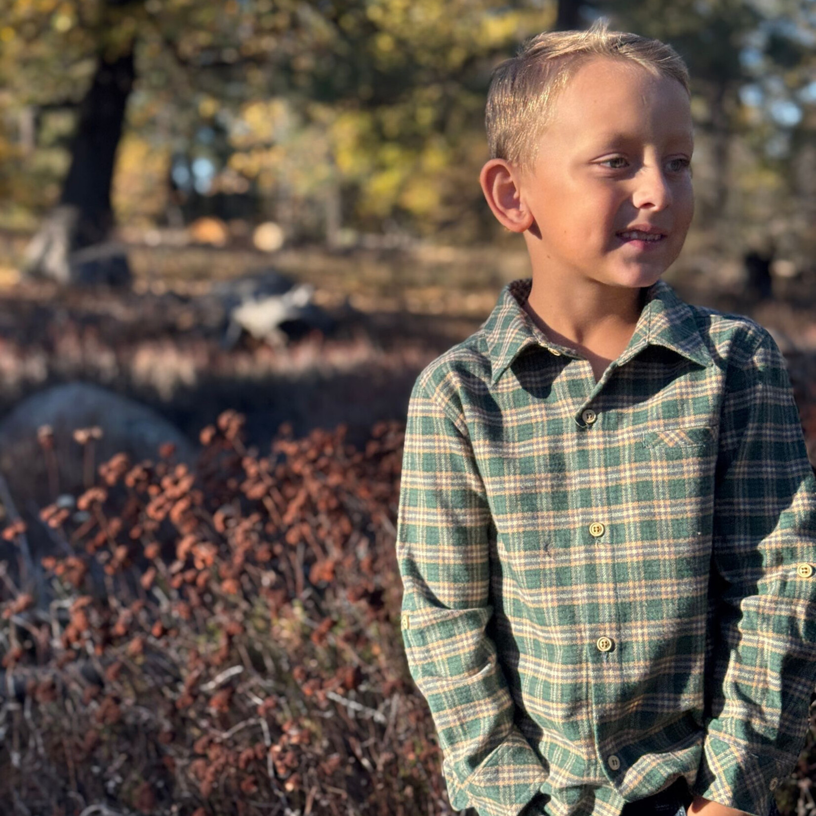 Atwood Woven Shirt | Green/yellow Washed Plaid