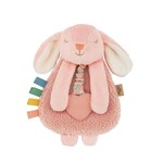 Itzy Ritzy Lovey Plush and Teether Toy | Ana Bunny