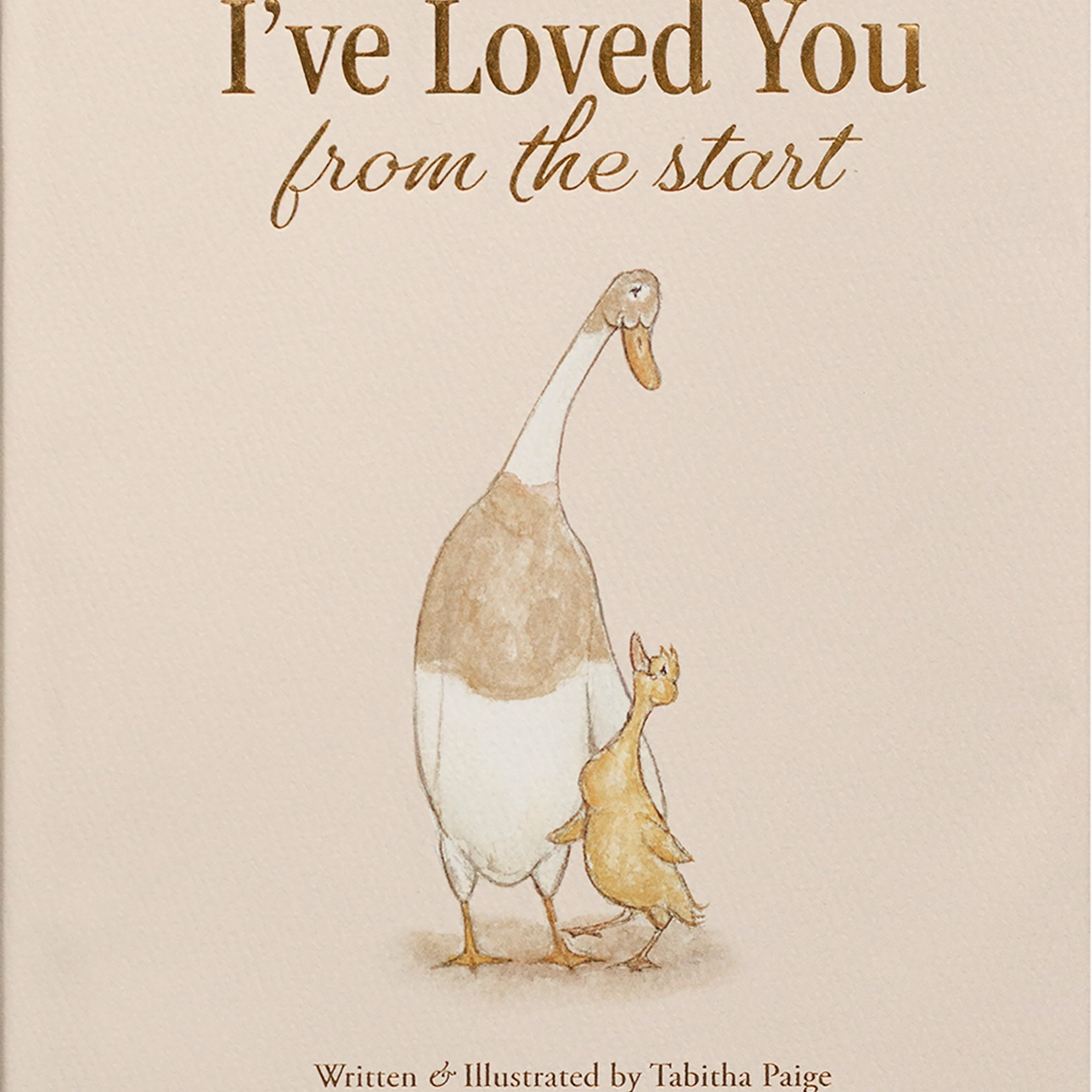 Penguin Random House (here) I've Loved You From the Start - Tabitha Paige