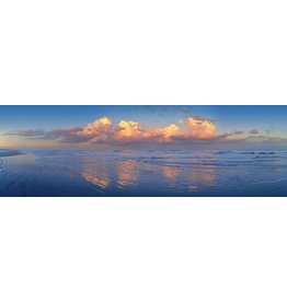 Perfect Storm  619 40X14