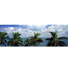 Road To Key West 886 60x18