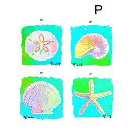 Marco Sand Dollar 30x30 Canvas Giclee