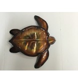 Copper Sea Turtle Lge 12X12 Clear Coat