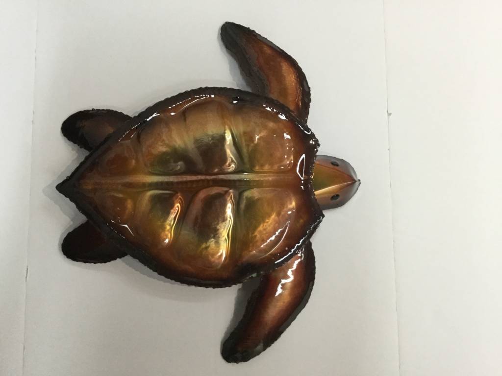 Copper Sea Turtle Lge 12X12 Clear Coat