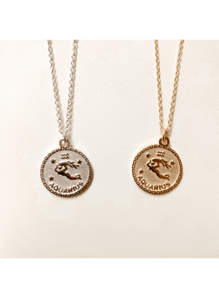 Serendipity Aquarius In the Stars Necklace