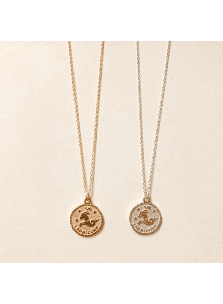 Serendipity Capricorn In the Stars Necklace