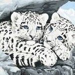 Dimensions Snow Leopard Cubs Paint by Number (14"x11")