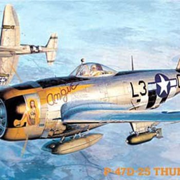 09140 1/48 P-47D Thunderbolt