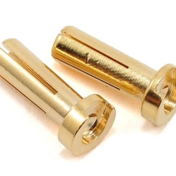 TQ Wire TQ Wire 4mm Low Profile Male Bullet Connectors (Gold) (14mm) (2)