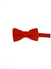 Red bow tie