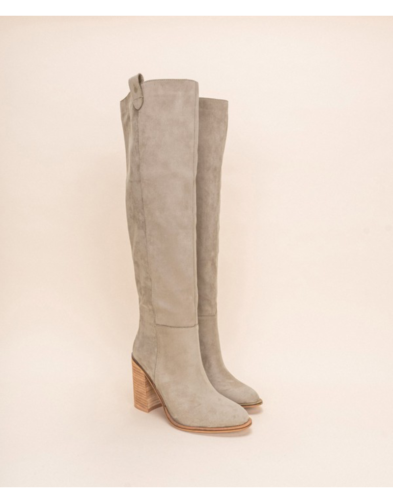 stand suede tall boots