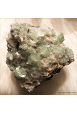 Green Apophyllite Crystal Cluster