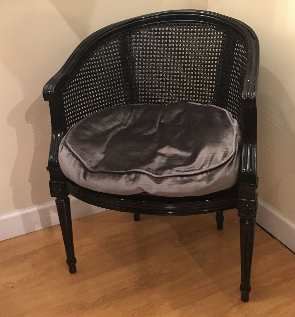 Lee lees valise antique cane back chair in