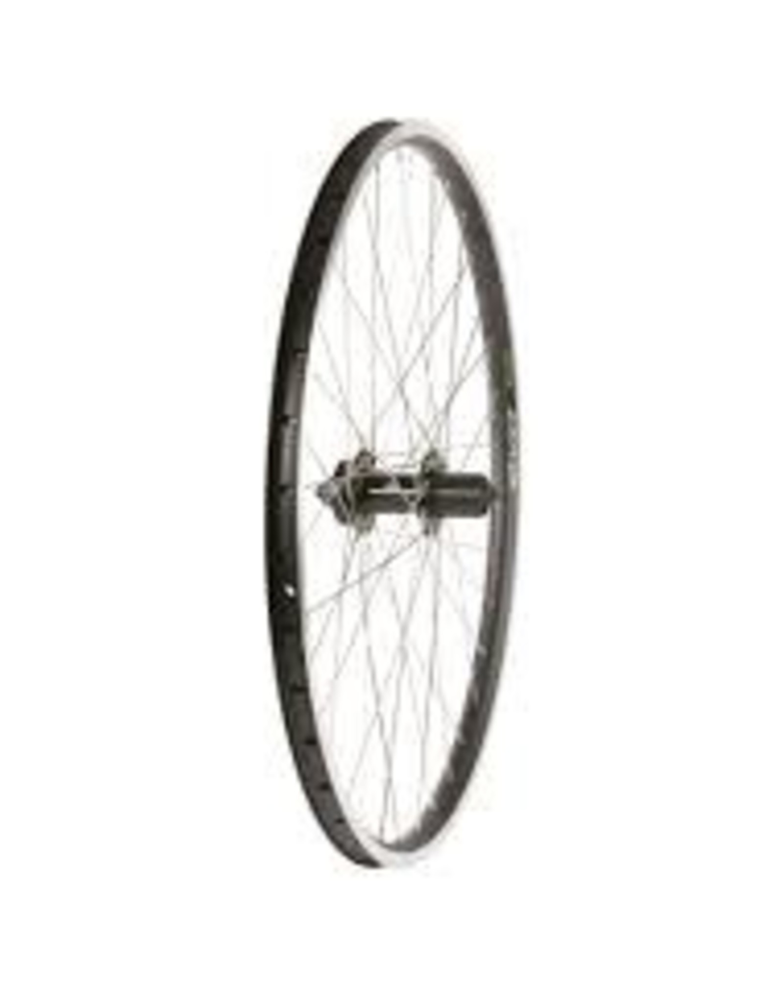 Wheel Shop Roue, Arrière, 26'' / 559 Evo Tour 19 Noir/ Formula DC-22,, Trous: 36, QR, 135mm, Jante et disque IS 6-boulons, Shimano HG