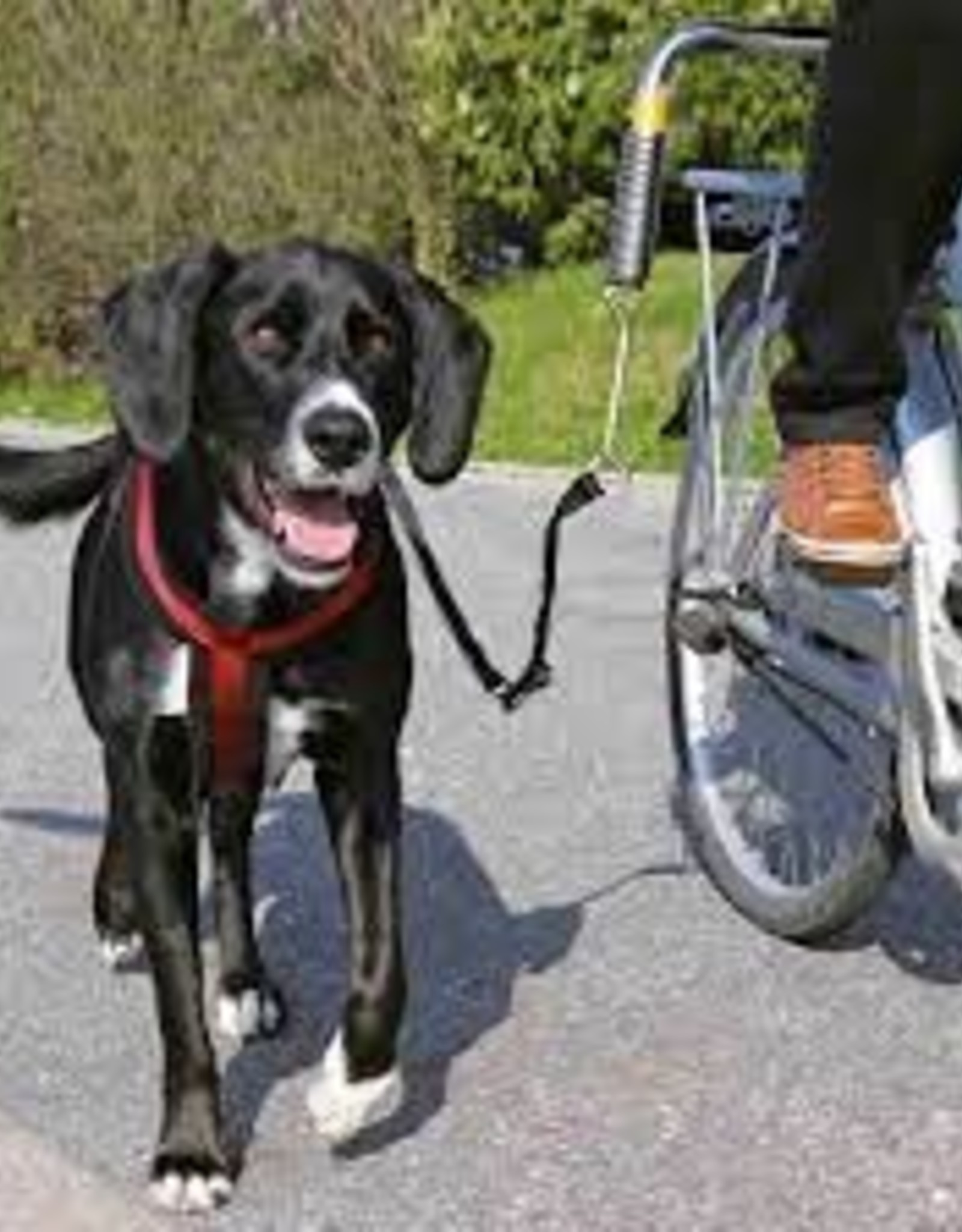 ATTACHE A VELO POUR CHIEN