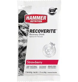 Hammer Nutrition Hammer Perpetuem: Caffe Latte, 12 Single Serving Packets