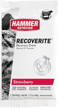 Hammer Nutrition Hammer Perpetuem: Caffe Latte, 12 Single Serving Packets