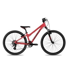 Norco Norco Storm 4.2 24"