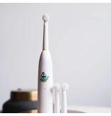 jack n jill buzzy brush replacement heads