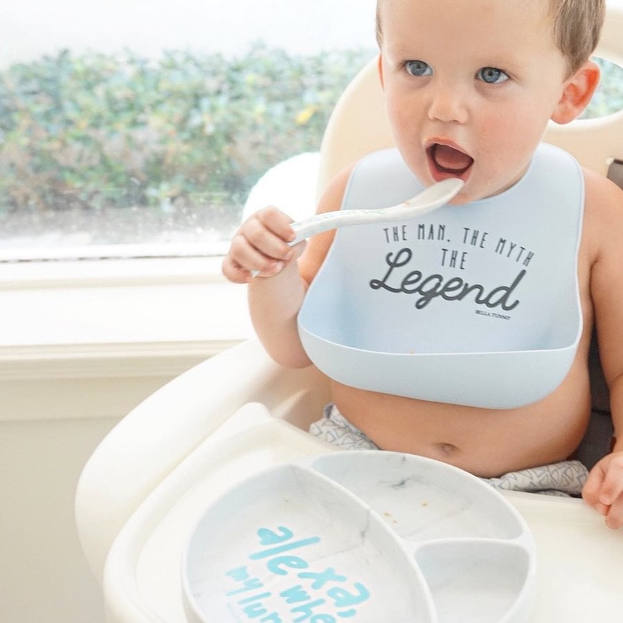 Silicone Nibble Tray - HipBabyGear