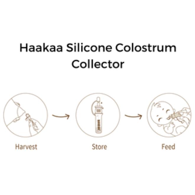 Haakaa Silicone Colostrum Collector Set - Sleep Tight Babies