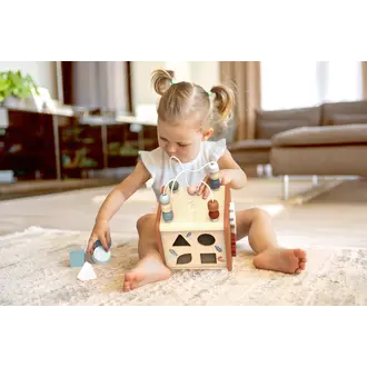 Speedy Monkey 5 in 1 Activity cube