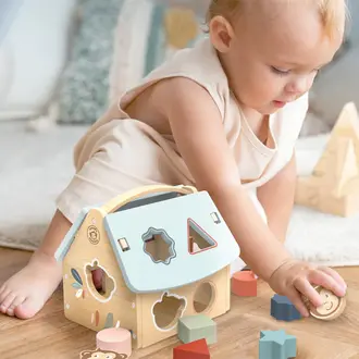 Speedy Monkey House Shape Sorter