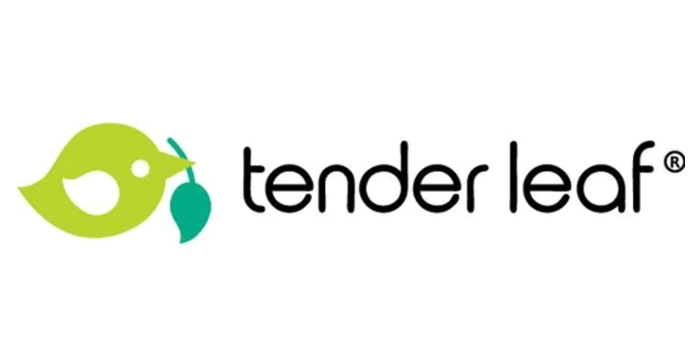 Tender Leaf Toys