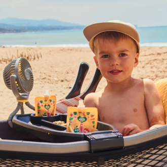 Veer Gear Veer Flex Fan